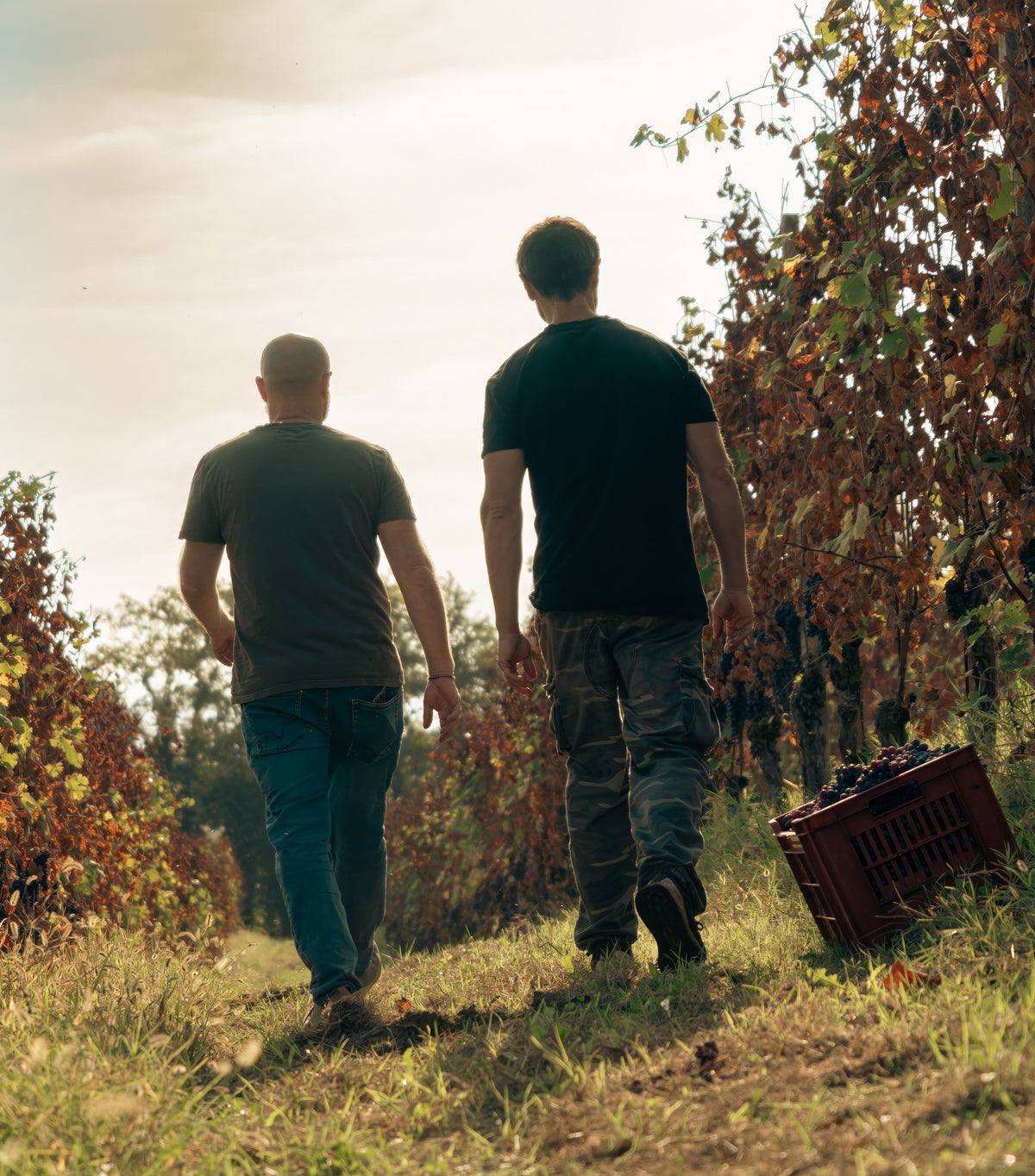 Negretti Barolo &#39;Rive&#39; 2019