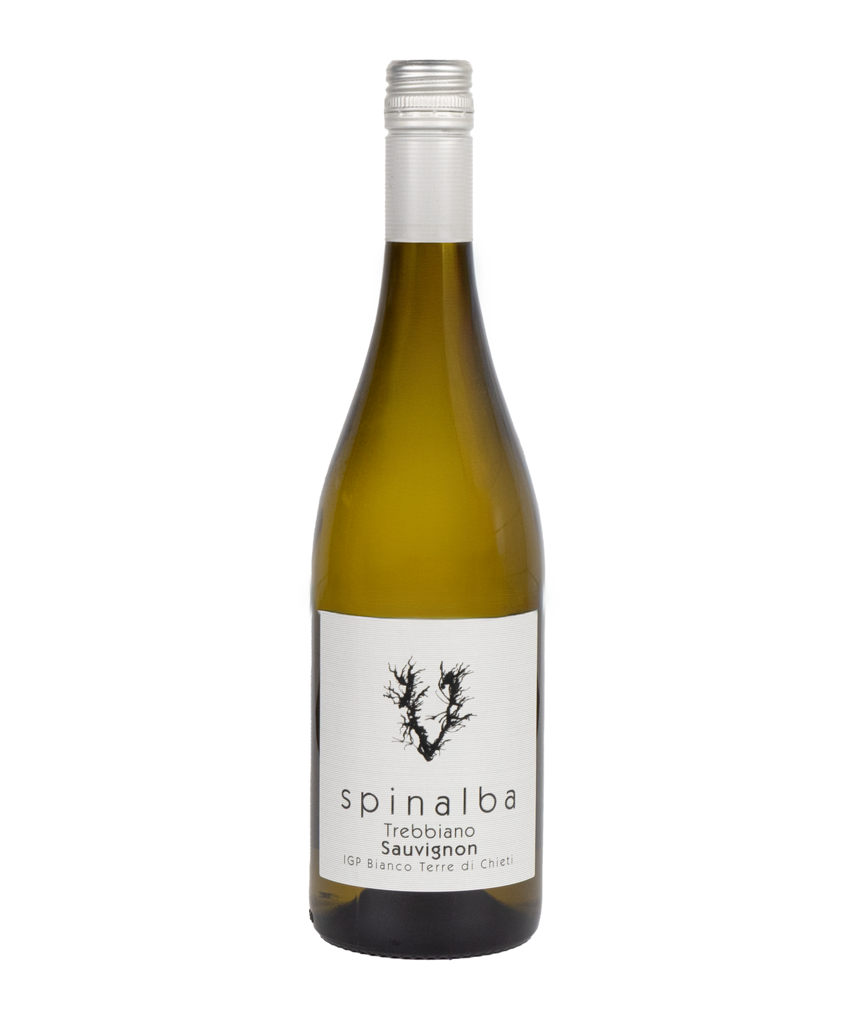 Venea &#39;Spinalba&#39; 2023