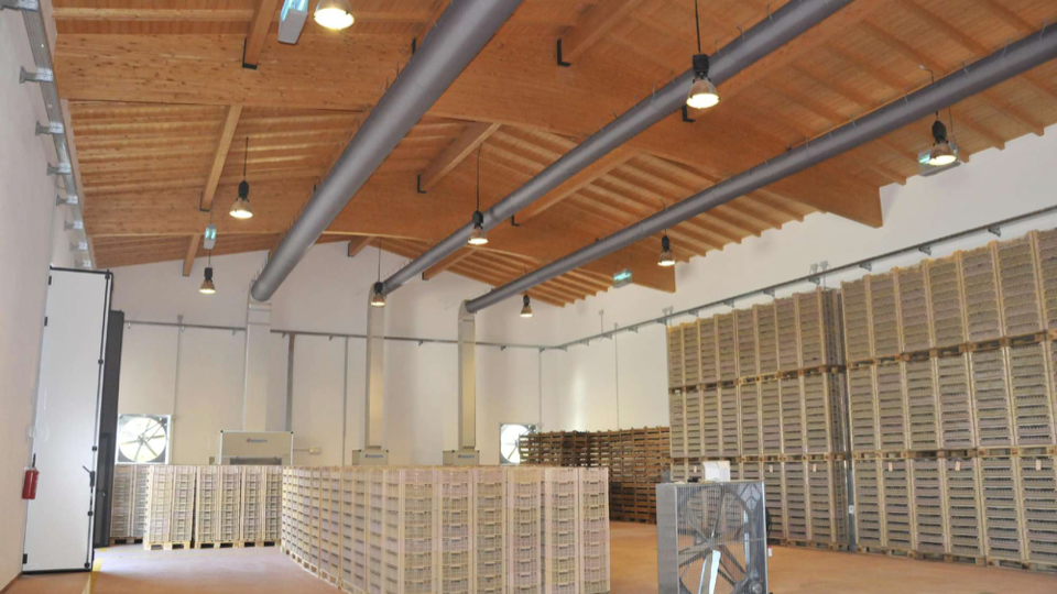 Tezza &#39;Ma Roat&#39; Valpolicella Ripasso BIO 2023