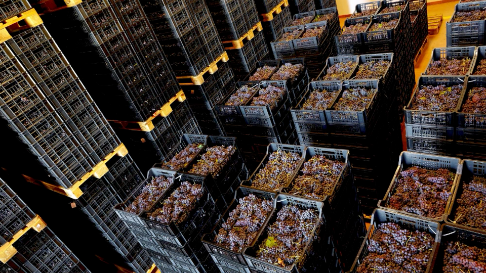 Tezza Valpolicella Ripasso Valpantena Superiore BIO 2021