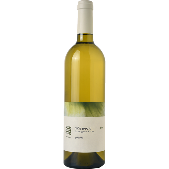 Galil Mountain Sauvignon Blanc 2020