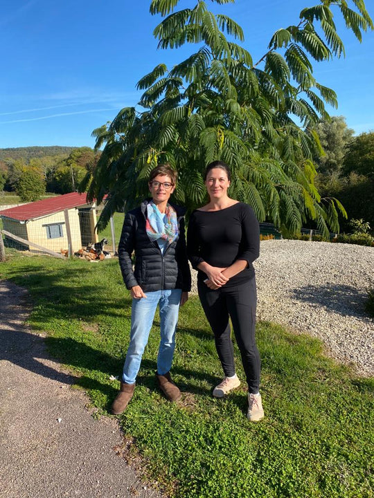 PETIT CHABLIS, Domaine des Peregrins,  Eleonore Laurent & Baptiste Moreau 2022